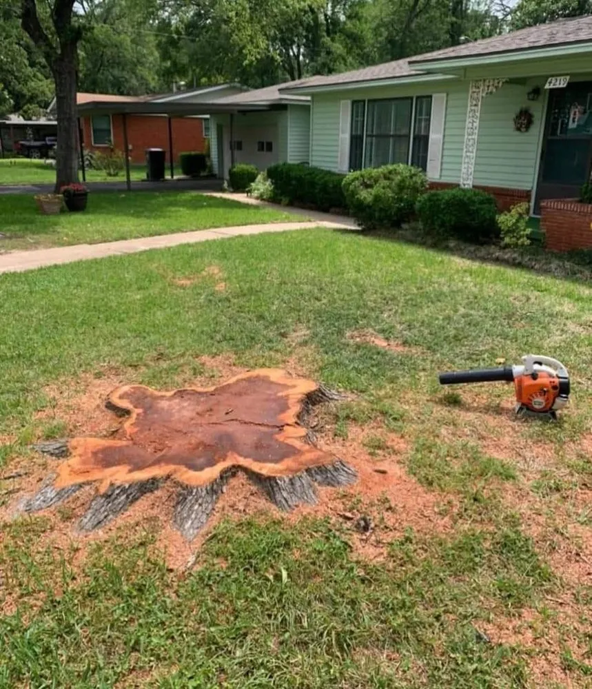 Top-rated residential landscaping in Lacy-Lakeview, TX - Warren Lawn & Tree Service