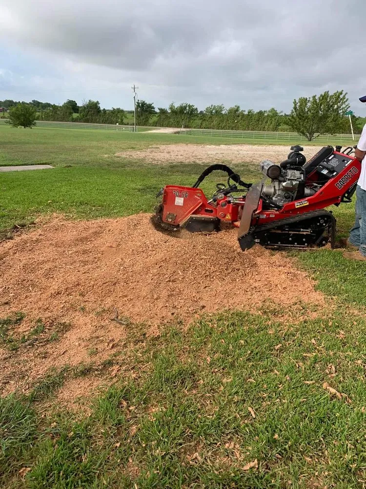 Affordable outdoor landscaping in Lacy-Lakeview, TX by Warren Lawn & Tree Service