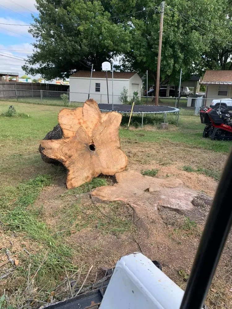 Affordable garden landscaping experts serving Lacy-Lakeview, TX - Warren Lawn & Tree Service
