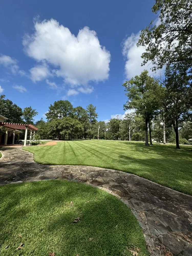 Top-rated yard cleanup service for outdoor upgrades in Brandon, MS by Warren Lawn Care