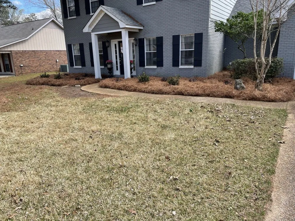 Affordable lawn care service in Brandon, MS by Warren Lawn Care