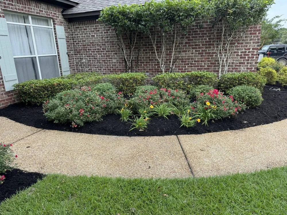 Top-rated yard cleanup service in Brandon, MS by Warren Lawn Care