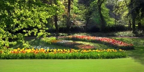 Local lawn mowing service in High Hill, MO by Warren Professional Services