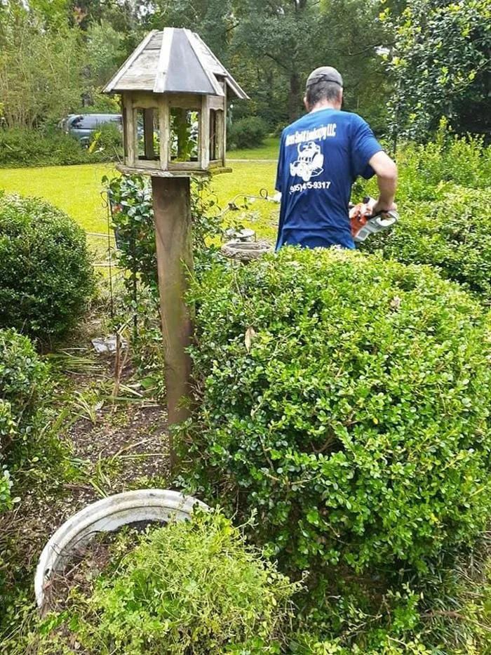 Professional yard cleanup service for residential properties across Franklinton, LA - Warren Sod & Landscaping