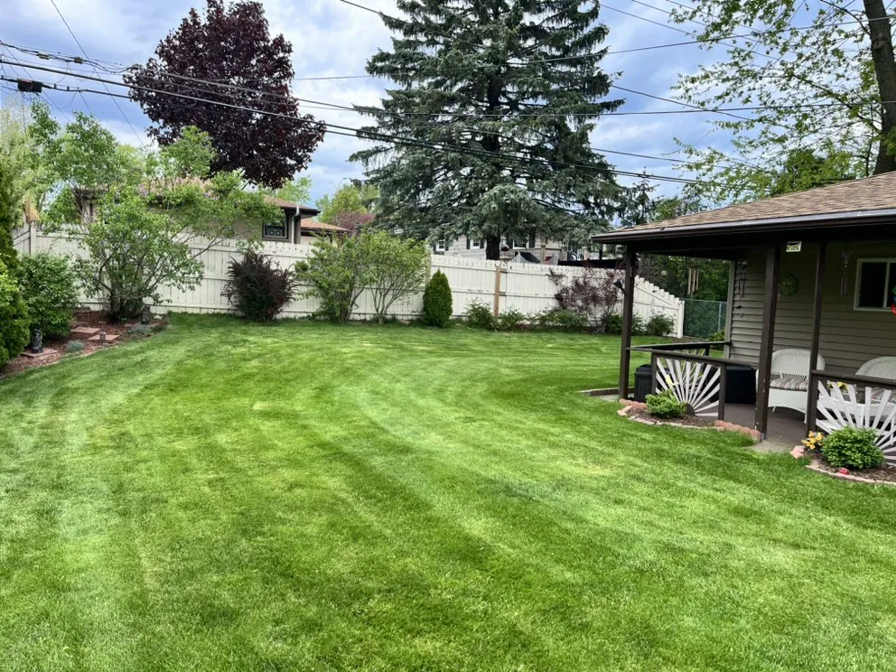 Reliable yard maintenance in Milwaukee, WI - Warrens Handyman Services