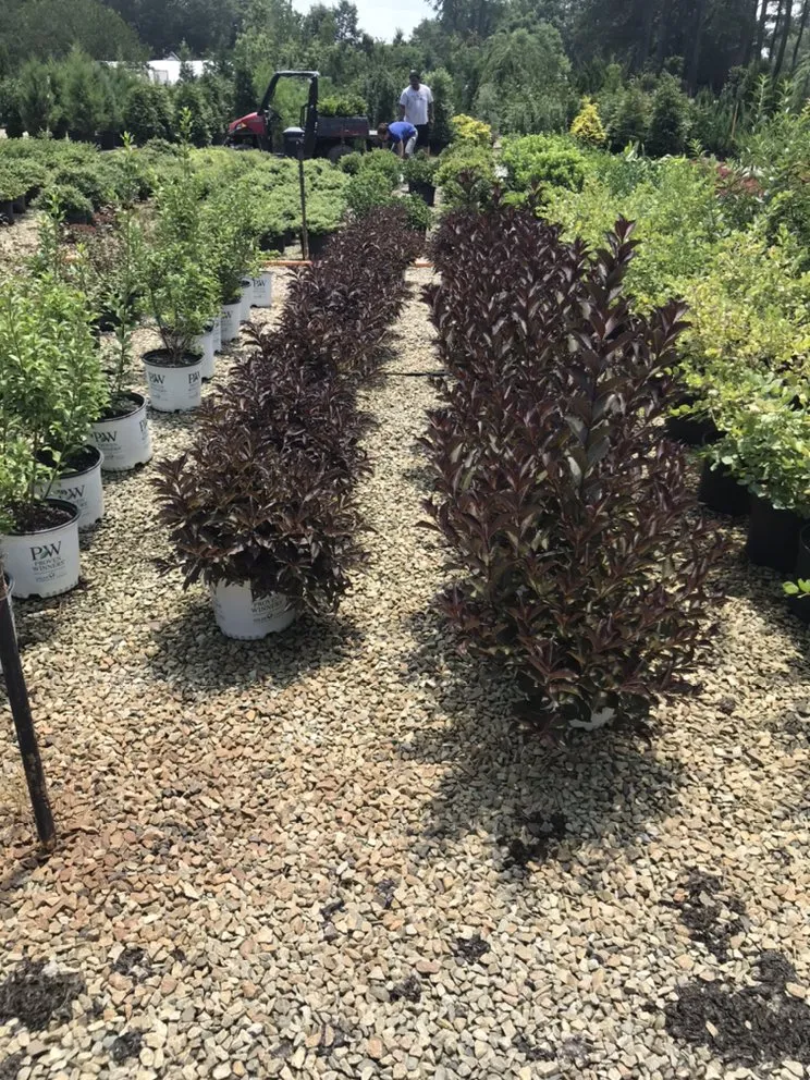 Affordable landscaping services in Creedmoor, NC - Warren’s Landscaping