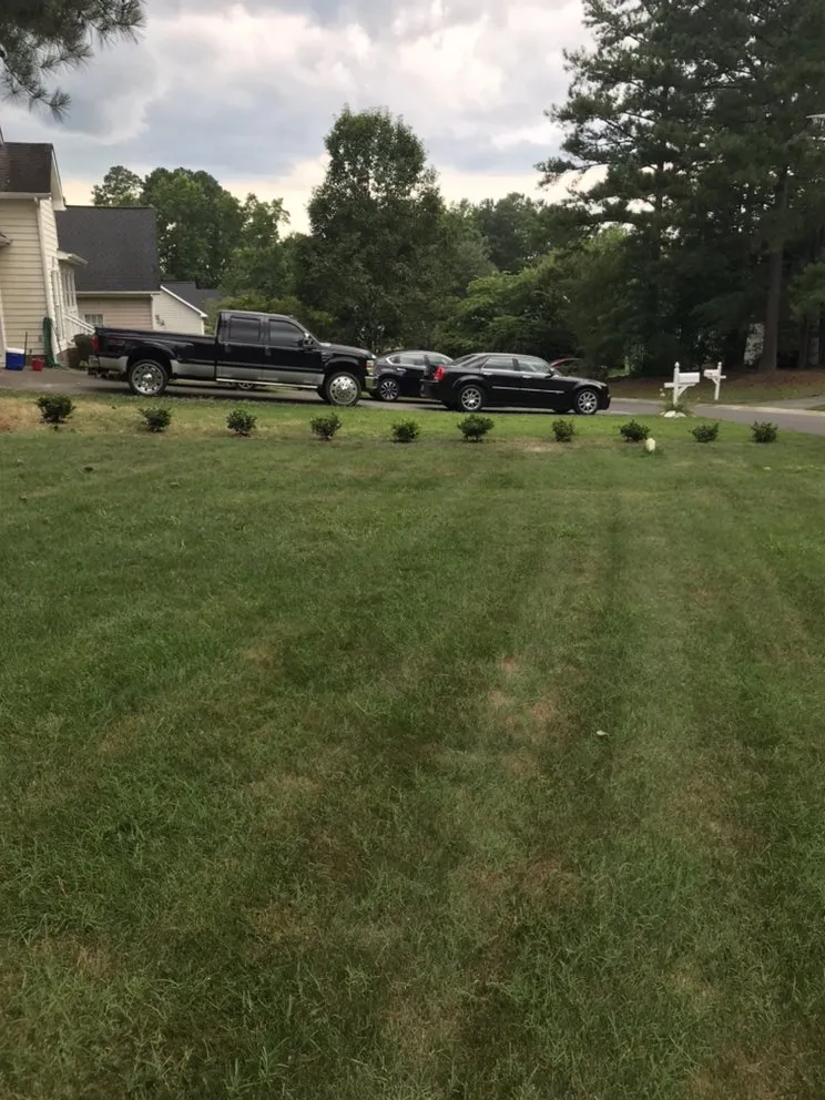 Trusted yard cleanup service in Creedmoor, NC by Warren’s Landscaping