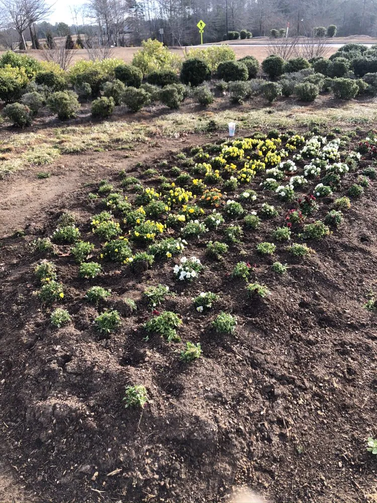 Top-rated yard cleanup service for outdoor upgrades across Creedmoor, NC - Warren’s Landscaping