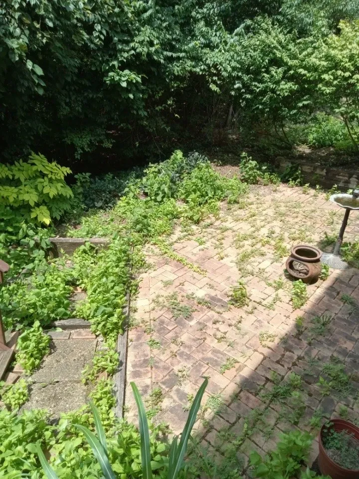 Custom landscape design for outdoor upgrades in Milford, OH by Warrens Landscaping