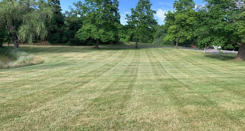 Top-rated yard cleanup service with custom design in Shepherdsville, KY by Warrens lawn & landscaping