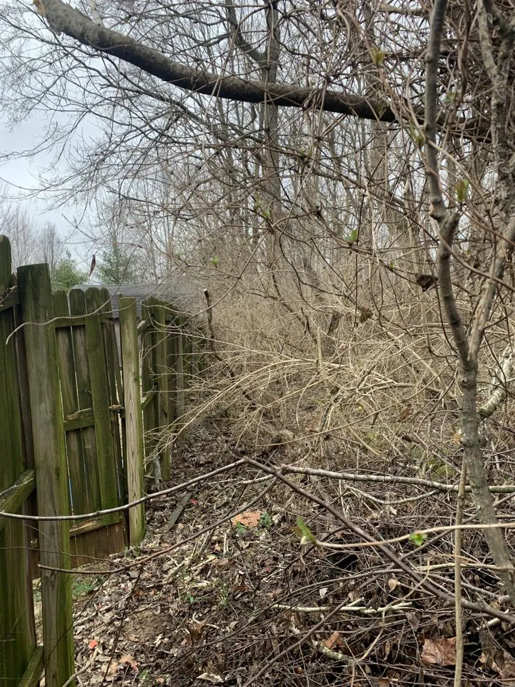 Local landscape design in Shepherdsville, KY - Warrens lawn & landscaping