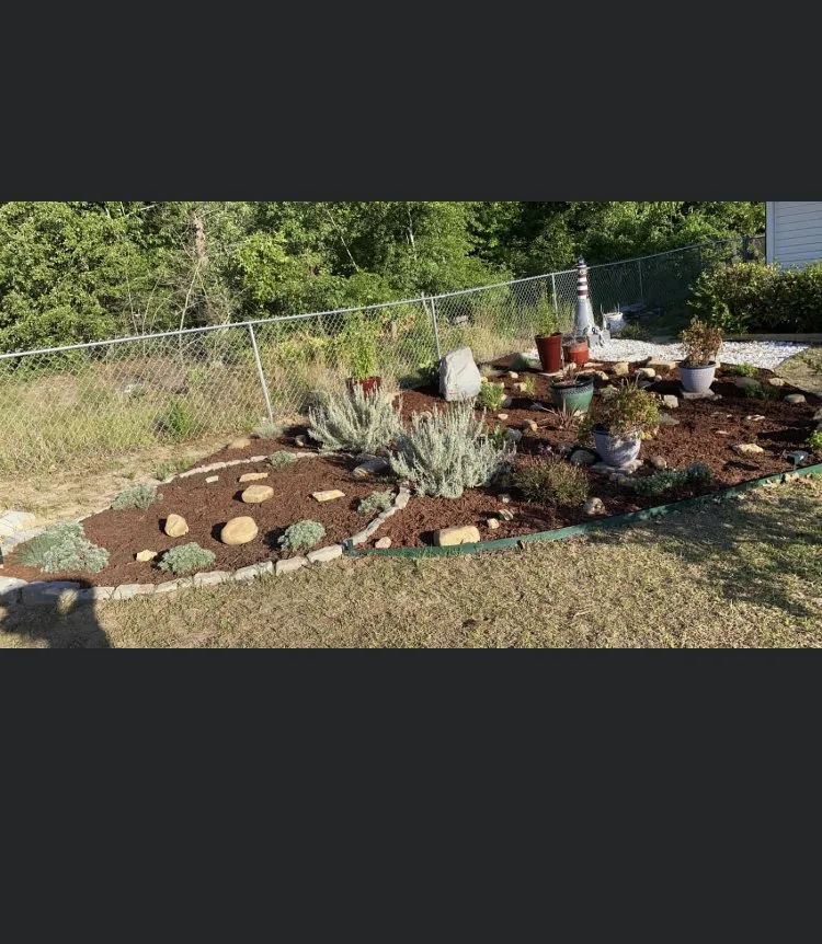 Top-rated yard maintenance in Augusta, GA - Warren’s Lawn Care