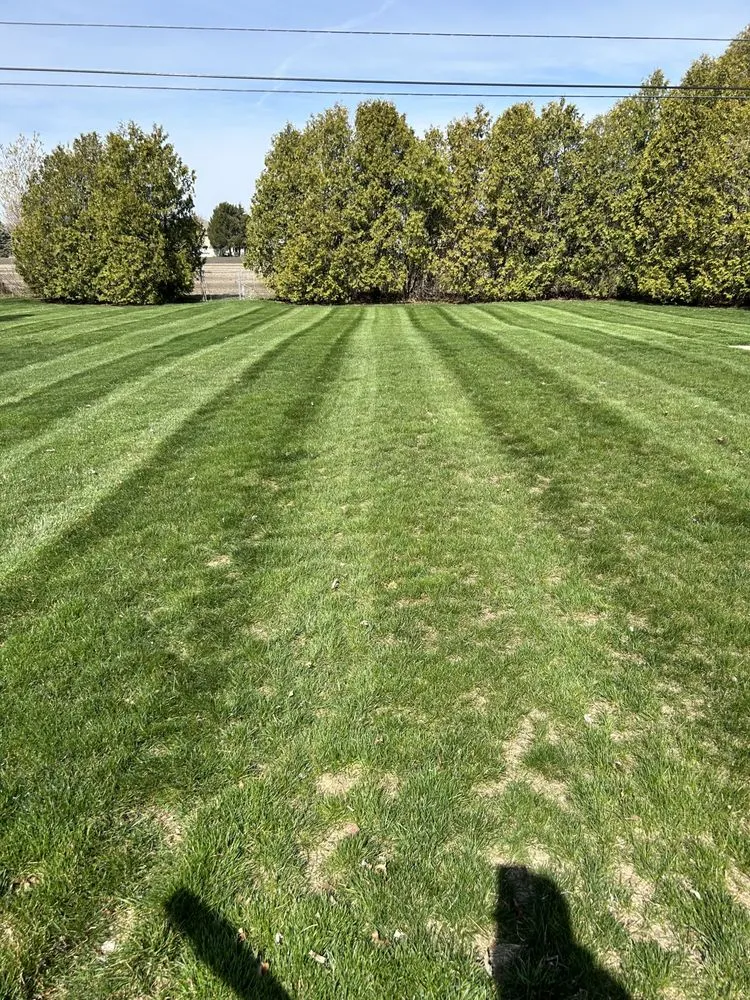 Local yard maintenance in Monroe, MI - Warren’s Lawn Maintenance