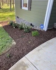 Expert yard cleanup service in Monroe, MI - Warren’s Lawn Maintenance