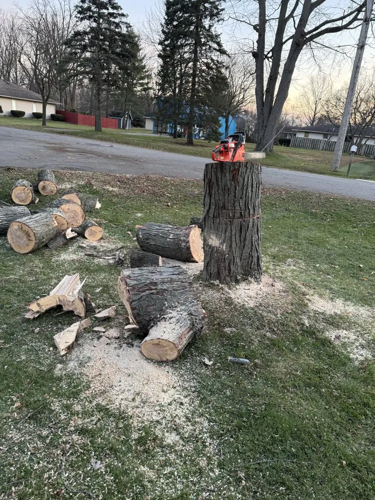 Top-rated landscape design in Monroe, MI - Warren’s Lawn Maintenance