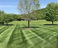 Expert residential landscaping for beautiful yards in Monroe, MI by Warren’s Lawn Maintenance
