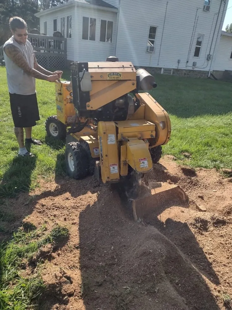 Custom yard cleanup service experts serving Fenton, MI - Warrens Lawns and Trees