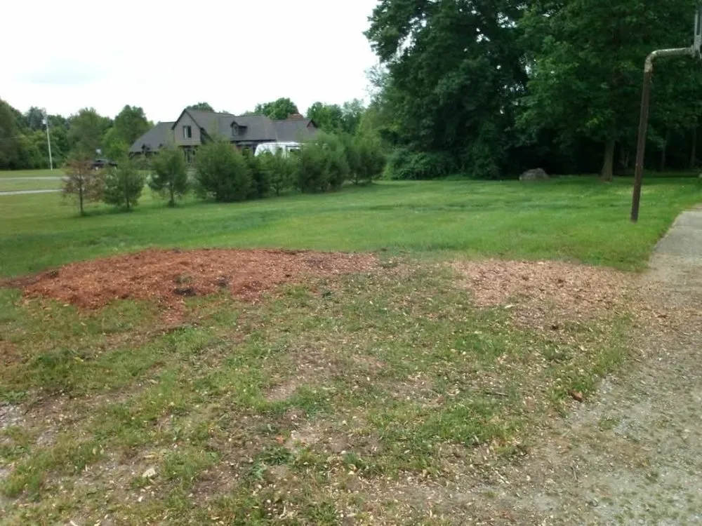 Trusted outdoor landscaping for outdoor upgrades across Fenton, MI - Warrens Lawns and Trees