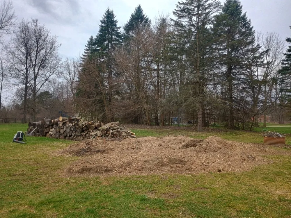 Affordable yard cleanup service with custom design across Fenton, MI - Warrens Lawns and Trees
