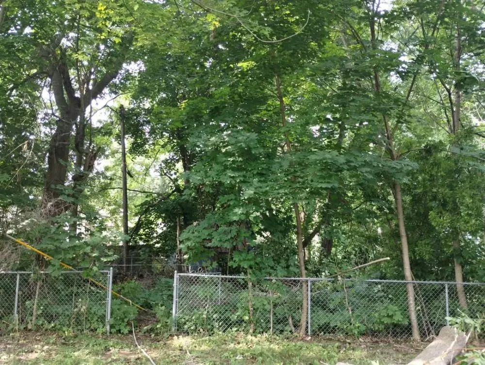 Affordable lawn care service for outdoor upgrades in Fenton, MI by Warrens Lawns and Trees