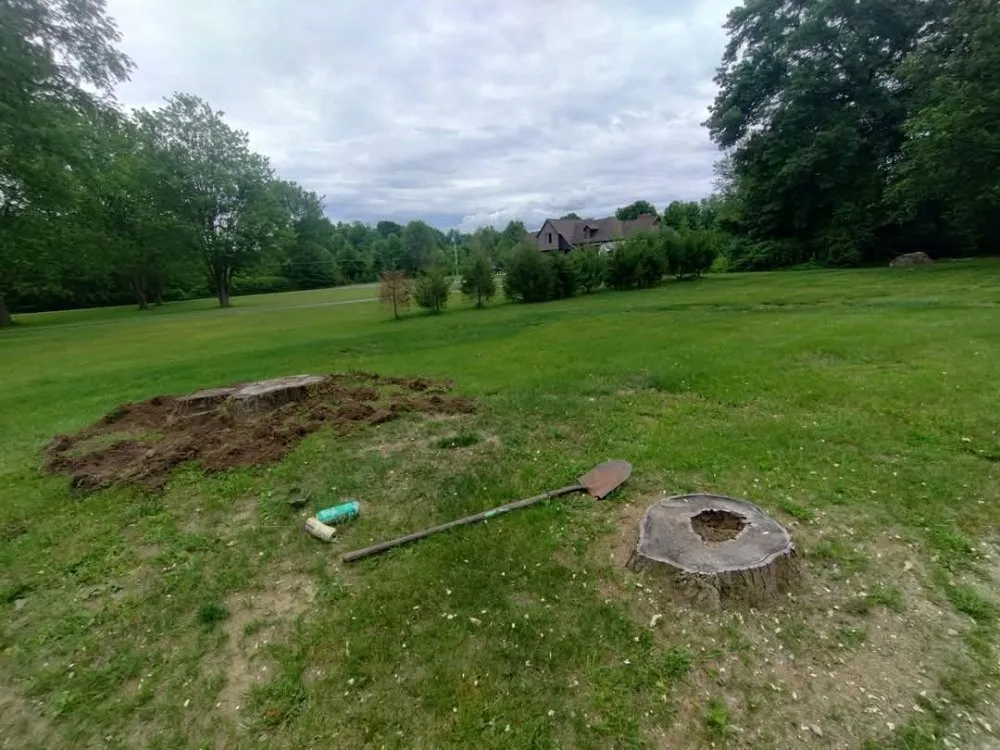 Affordable lawn mowing service for year-round maintenance in Fenton, MI by Warrens Lawns and Trees