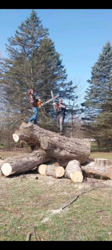 Affordable landscape design with custom design in Fenton, MI by Warrens Lawns and Trees