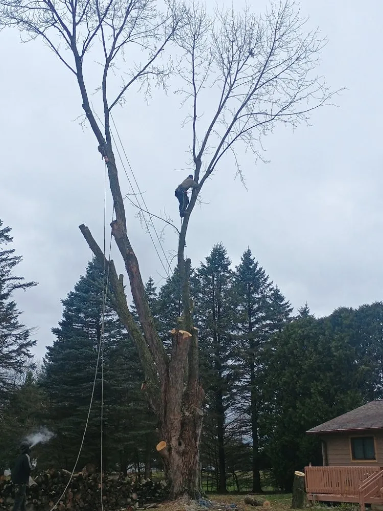 Top-rated outdoor landscaping in Fenton, MI - Warrens Lawns and Trees