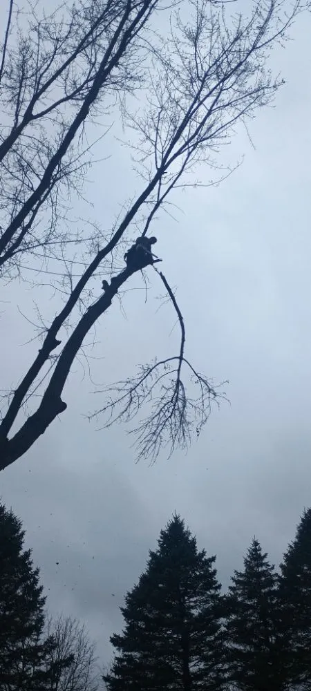 Top-rated lawn mowing service for year-round maintenance in Fenton, MI by Warrens Lawns and Trees