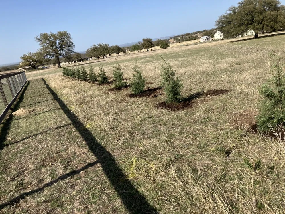 Local lawn mowing service in Marble Falls, TX by Warrens Residential Services