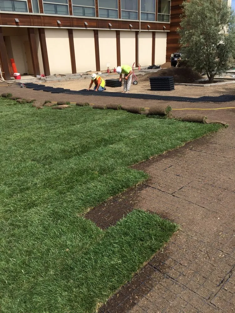 Professional residential landscaping in Woodland, CA - Warren's Turf