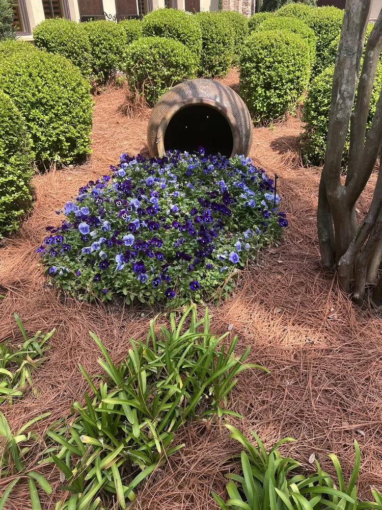 Professional yard cleanup service experts serving Freeport, FL - Warrior Outdoor Services