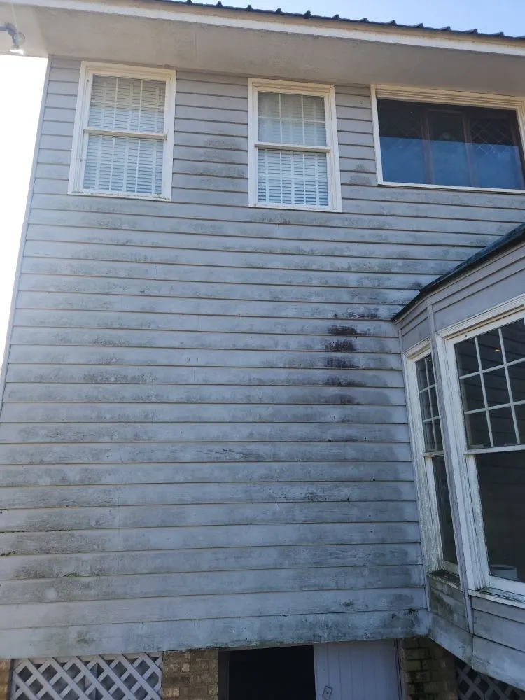 Custom landscape installation for year-round maintenance in Tylertown, MS by Warrior Pressure Washing Soft Washing