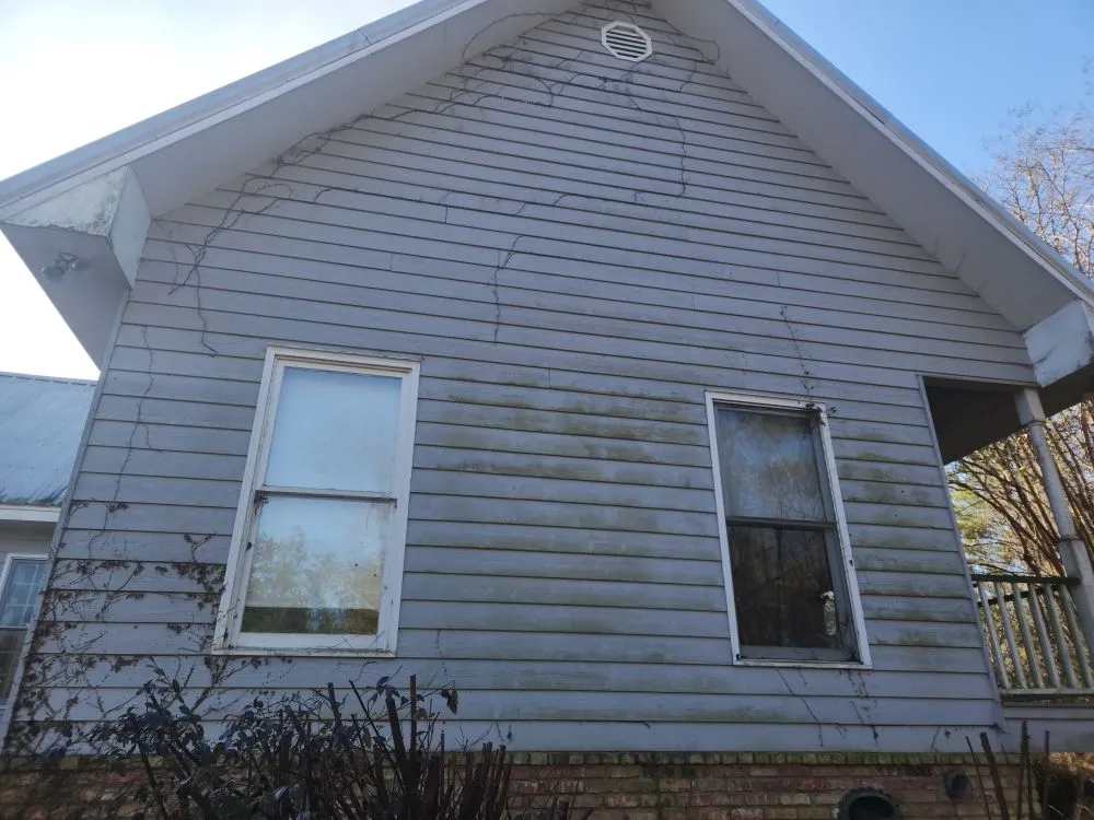 Reliable yard cleanup service experts serving Tylertown, MS - Warrior Pressure Washing Soft Washing