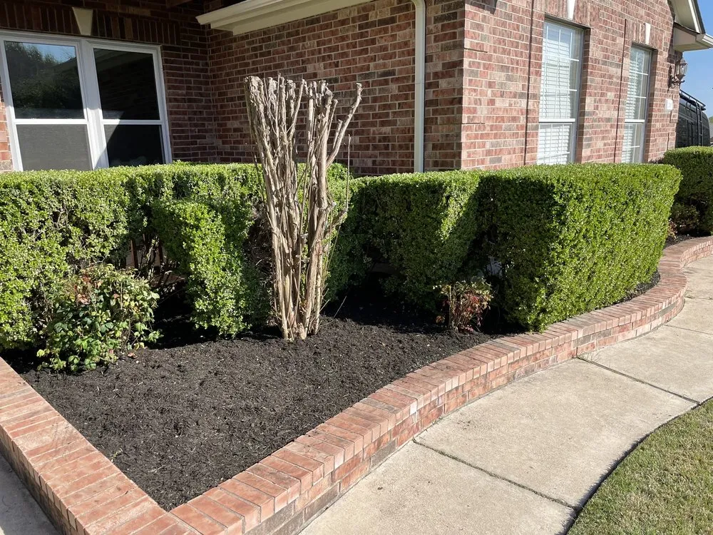 Custom outdoor landscaping experts serving Round Rock, TX - Warriors Tree Service
