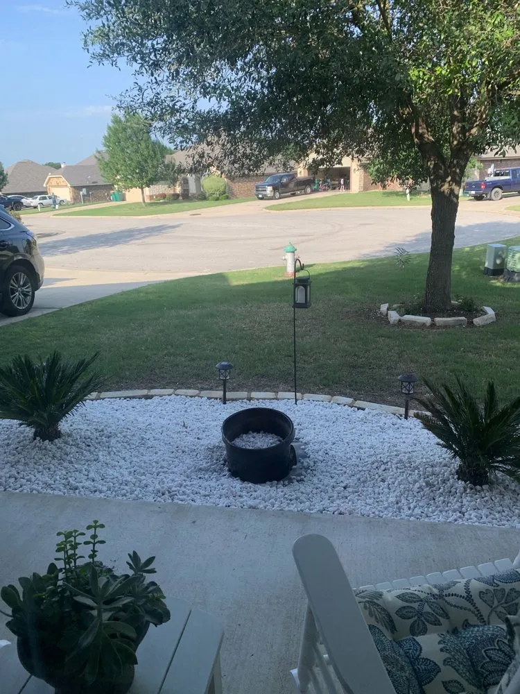 Trusted yard cleanup service in Round Rock, TX by Warriors Tree Service