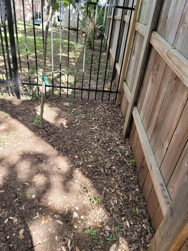 Expert outdoor landscaping in Round Rock, TX - Warriors Tree Service