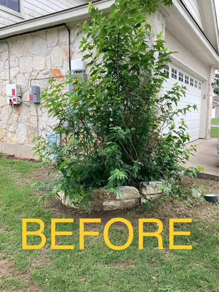 Local landscaping services for residential properties across Round Rock, TX - Warriors Tree Service