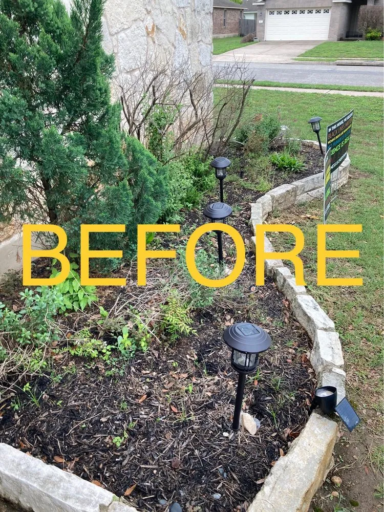 Professional landscape installation for residential properties in Round Rock, TX by Warriors Tree Service