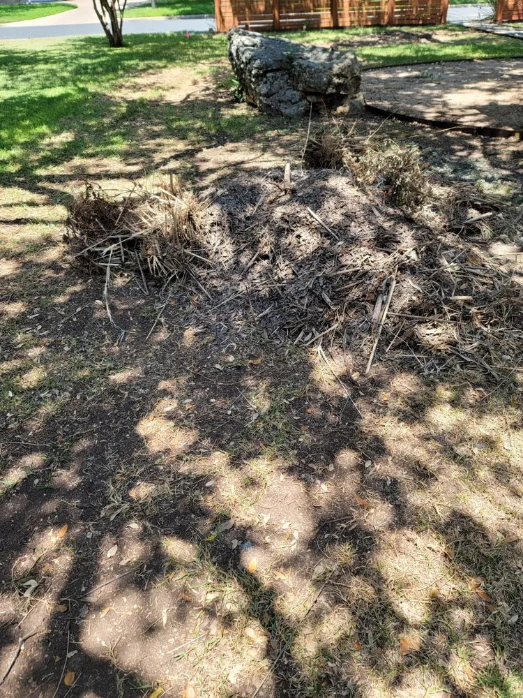 Custom outdoor landscaping in Round Rock, TX - Warriors Tree Service