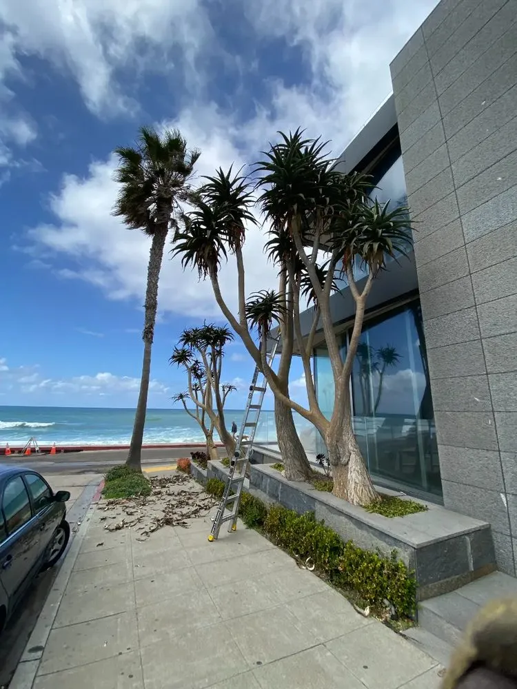 Custom landscaping services in San Diego, CA by WAS Landscaping