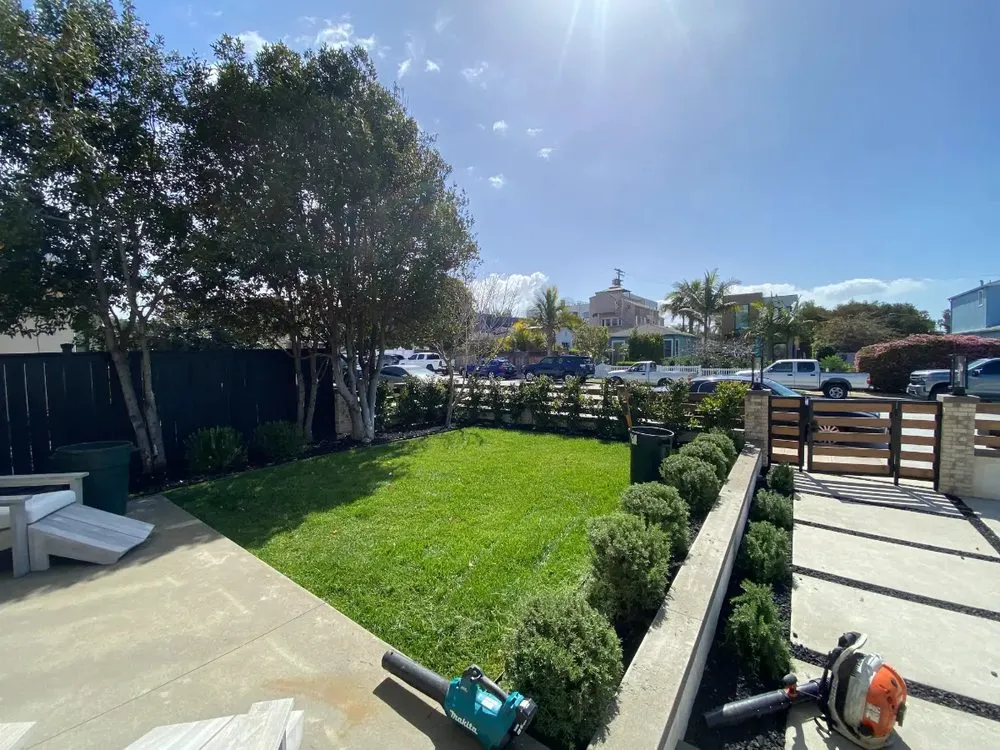 Local yard maintenance for homes across San Diego, CA - WAS Landscaping
