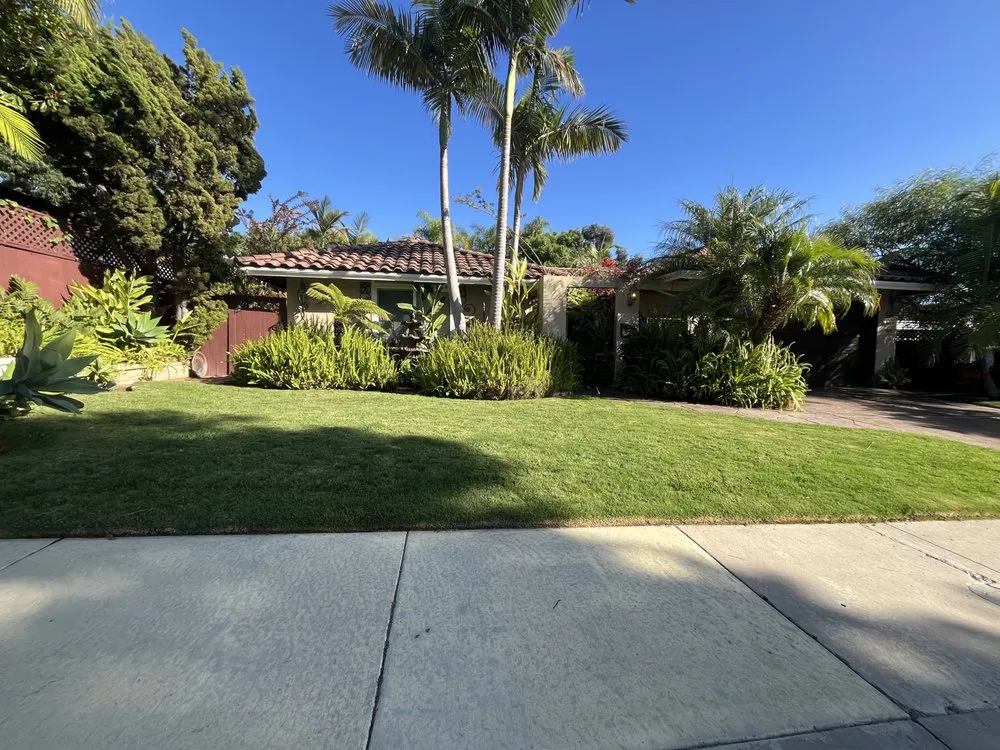 Trusted yard maintenance experts serving San Diego, CA - WAS Landscaping