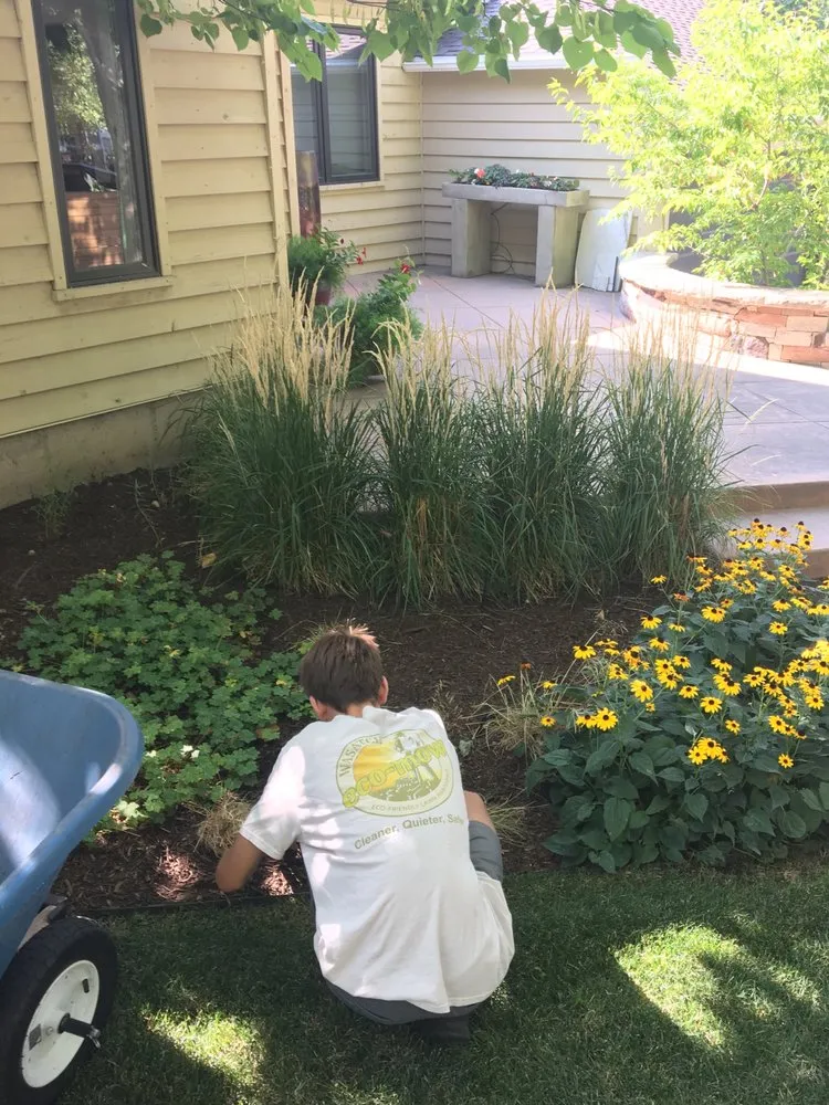 Custom yard maintenance experts serving Salt Lake City, UT - Wasatch Eco-Mow