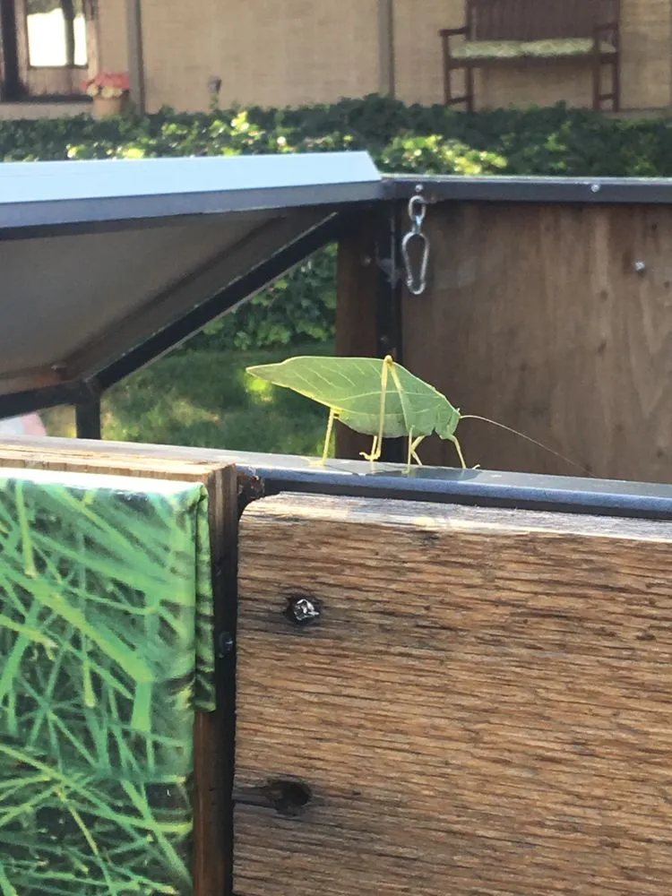 Professional outdoor landscaping in Salt Lake City, UT - Wasatch Eco-Mow