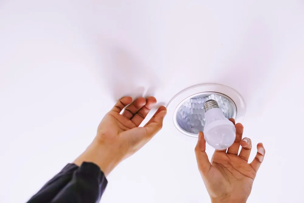 Professional lawn care service experts serving Park City, UT - Wasatch Property Caretakers