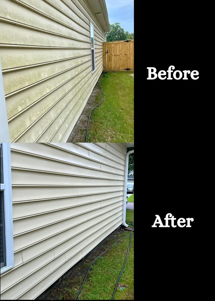 Top-rated landscape design in Summerville, SC - Wash & Mow