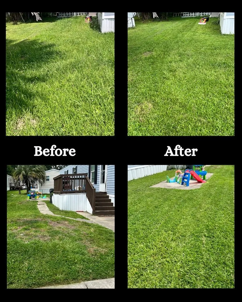 Reliable outdoor landscaping in Summerville, SC by Wash & Mow
