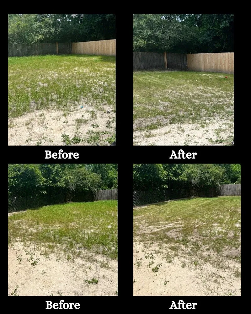 Reliable outdoor landscaping in Summerville, SC by Wash & Mow
