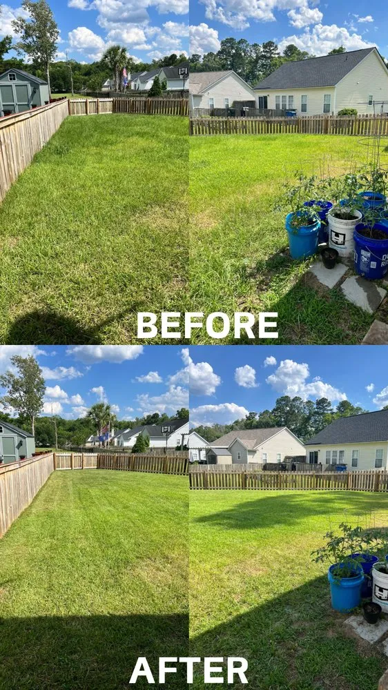 Local garden landscaping for residential properties in Summerville, SC by Wash & Mow