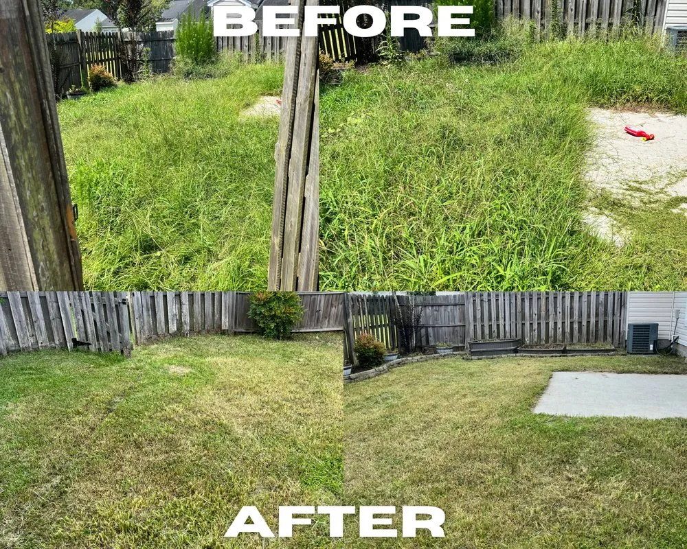 Affordable landscaping services with custom design in Summerville, SC by Wash & Mow